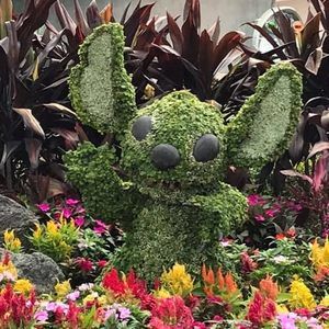 Meet your Posher, Cyndi